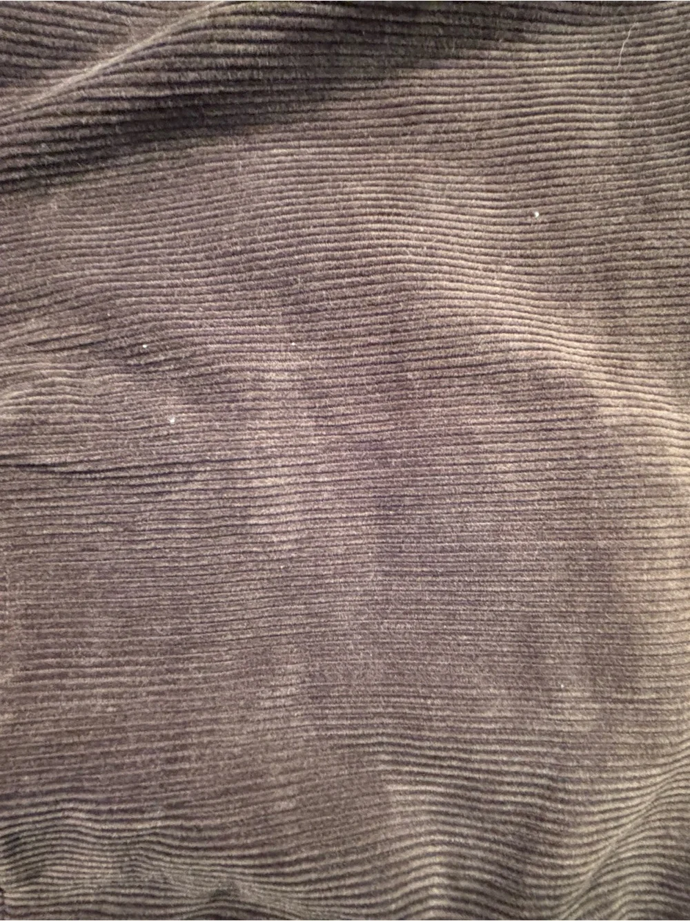 J. Crew Men's Corduroy Pants in green/brown
